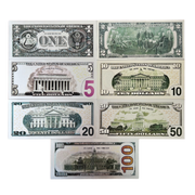 Silver Foil 7 piece USA Money Set